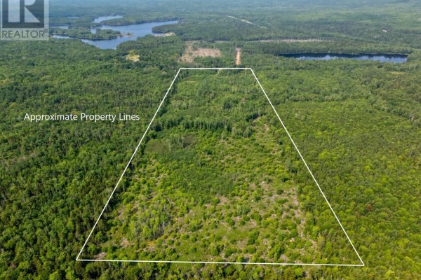 Aerial view of forested land within approximate property lines, with a lake in the background. - Vacant Land Highway 8, Graywood