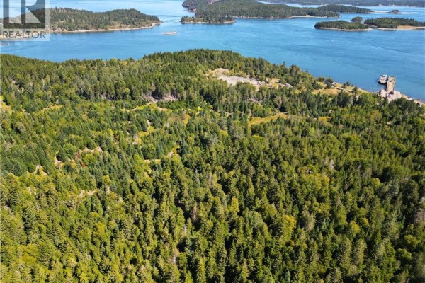 Aerial view of heavily wooded land with ocean views and a small dock structure visible. - Vacant Land Route 772, Stuart Town