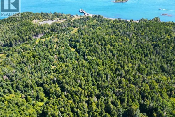 Expansive green forest canopy with blue water and islands stretching to the horizon. - Vacant Land Route 772, Stuart Town