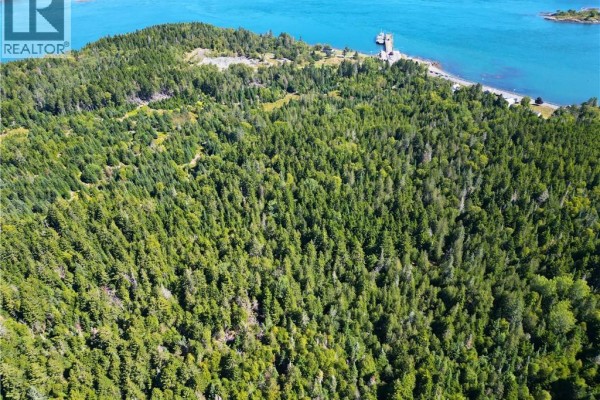 Overhead view of a vast forested property adjacent to a calm blue body of water. - Vacant Land Route 772, Stuart Town