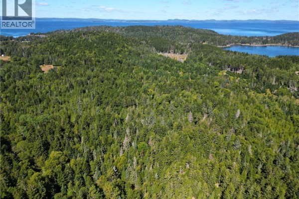 Panoramic aerial shot of forested coastline with islands and water under a clear sky. - Vacant Land Route 772, Stuart Town