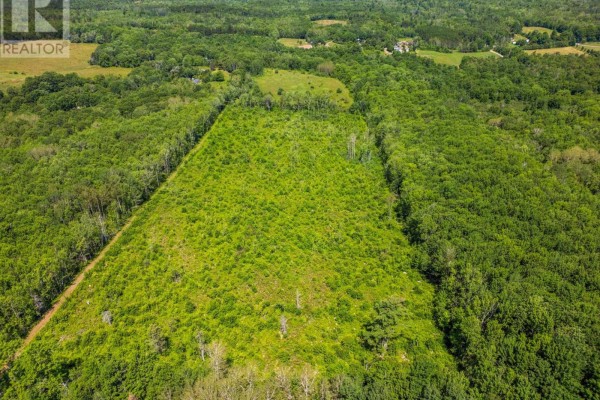 Vacant Land Torbrook Road, Torbrook Mines, NS B0P1R0 Photo 2