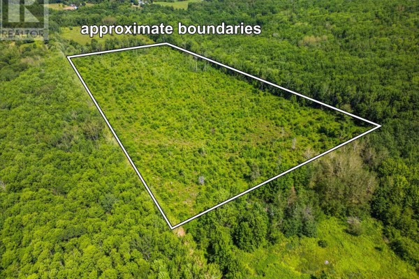 Vacant Land Torbrook Road, Torbrook Mines, NS B0P1R0 Photo 3