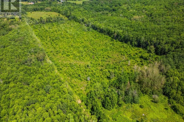 Vacant Land Torbrook Road, Torbrook Mines, NS B0P1R0 Photo 4