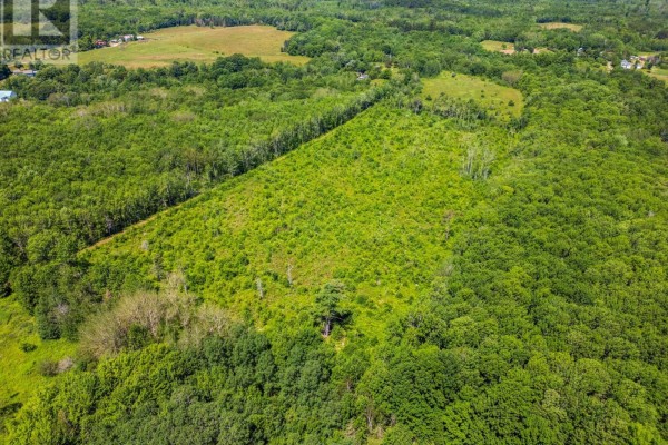 Vacant Land Torbrook Road, Torbrook Mines, NS B0P1R0 Photo 5