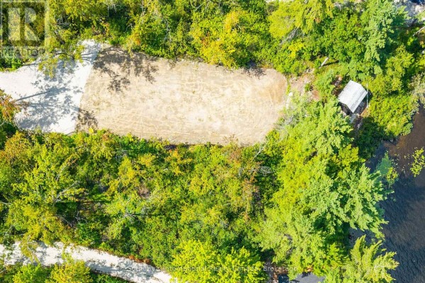 Vacant Lot - 1055 West Bank Drive, Gravenhurst, ON P0E1G0 Photo 5