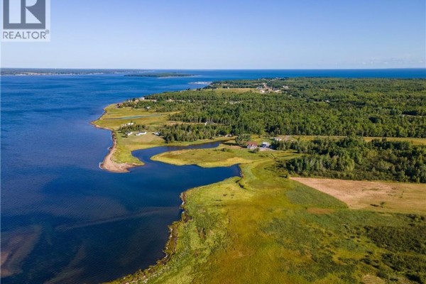 Vacant Lot 530 Route, Grande Digue, NB E4R5P6 Photo 4
