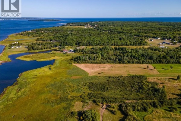 Vacant Lot 530 Route, Grande Digue, NB E4R5P6 Photo 5
