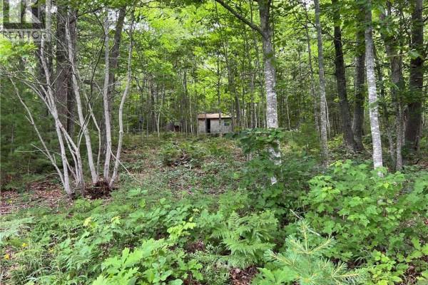 Vacant Lot Lakeview Road, Washademoak, NB E4C2L6 Photo 3