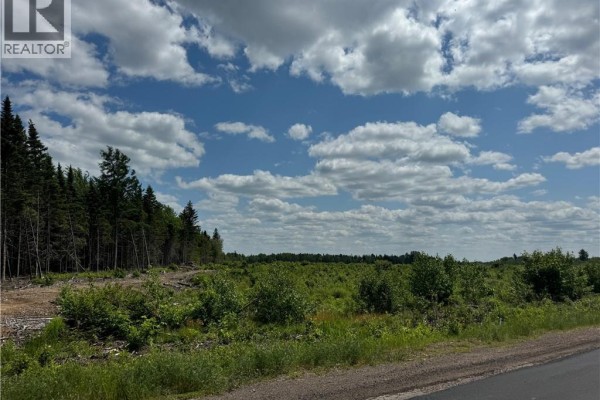 Vacant Lot Murray Road, Browns Yard, NB E4T1W3 Photo 2
