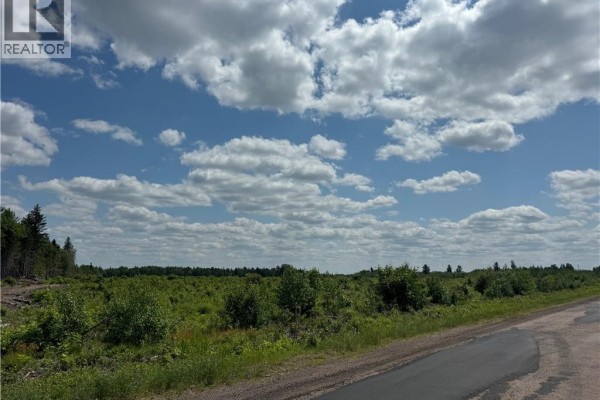 Vacant Lot Murray Road, Browns Yard, NB E4T1W3 Photo 3