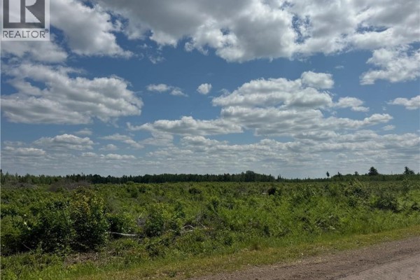 Vacant Lot Murray Road, Browns Yard, NB E4T1W3 Photo 4