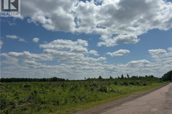 Vacant Lot Murray Road, Browns Yard, NB E4T1W3 Photo 5
