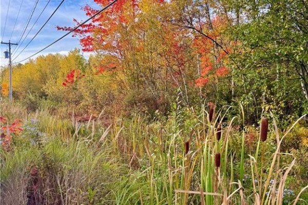 Vacant Lot Route 430, Miramichi, NB, photo 2