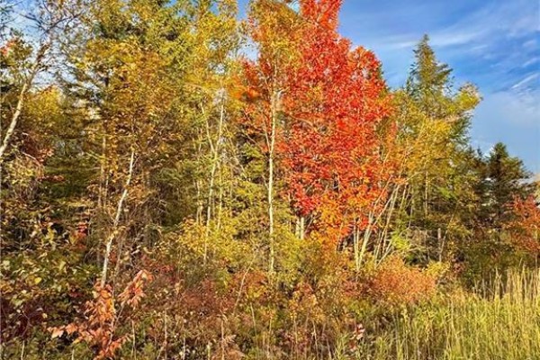 Vacant Lot Route 430, Miramichi, NB, photo 3