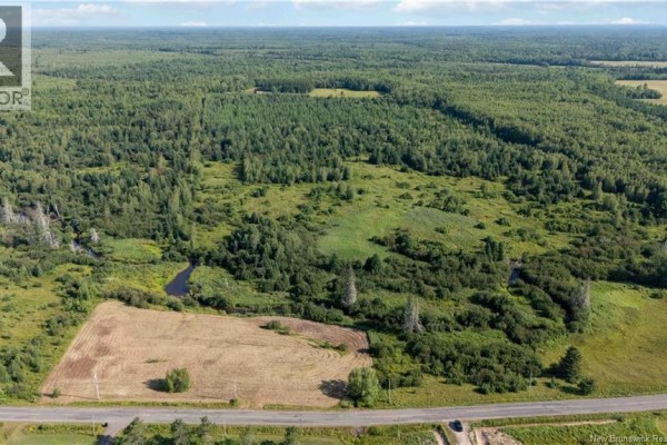Vacant Lot Saint-charles Sud, Saint Charles, NB, photo 2