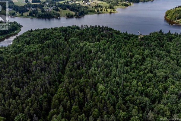 Drone shot over thick green forest with a water view to the right featuring a dock and a bridge in the distance. - Vacant Lot Saint-ignace, Saint Louis De Kent