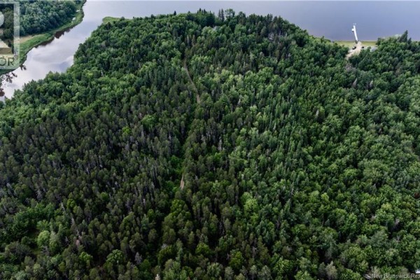 Looking down onto a vast expanse of dense green trees bordering a large body of dark water with a white dock. - Vacant Lot Saint-ignace, Saint Louis De Kent