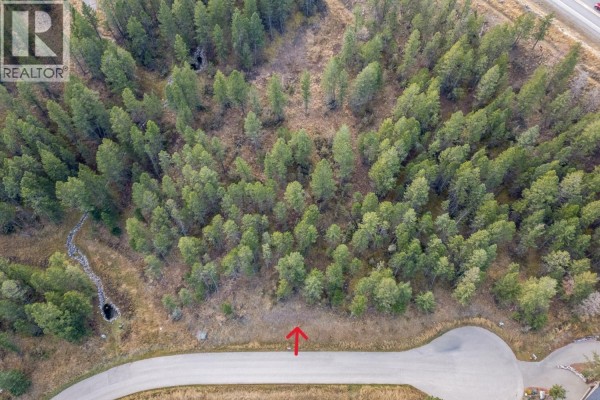 Aerial view of a wooded land parcel with a paved road and a red arrow marker. - Valley Vista Way Lot# 24, Fairmont Hot Springs