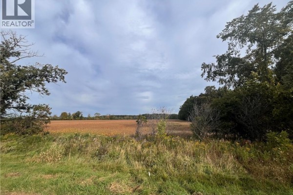 Wide view of a crop field bordered by trees and tall grass, with a cloudy sky above. - Vl Kings Row, Dunnville