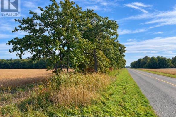A paved road runs alongside a field and trees, with a blue sky and clouds above. - Vl Kings Row, Haldimand