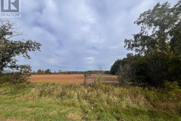 View of a harvested field bordered by trees and a cloudy sky. - Vl Kings Row, Haldimand