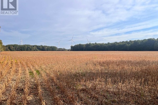 Expansive field of crops with rows leading towards a treeline and wind turbines. - Vl Kings Row, Haldimand