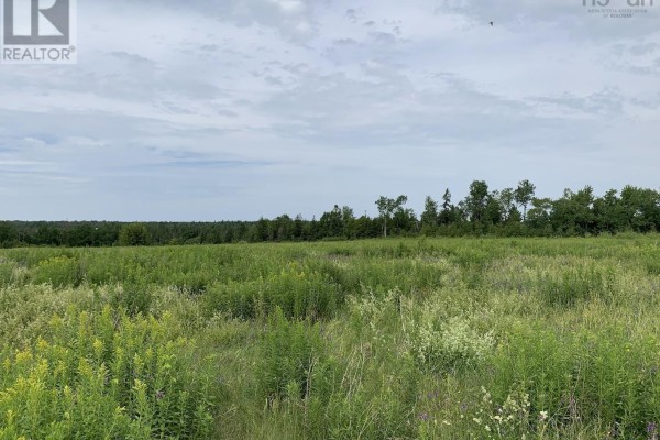 Vv1 Lot 1 Hunter Road, West Wentworth, NS B0M1Z0 Photo 2