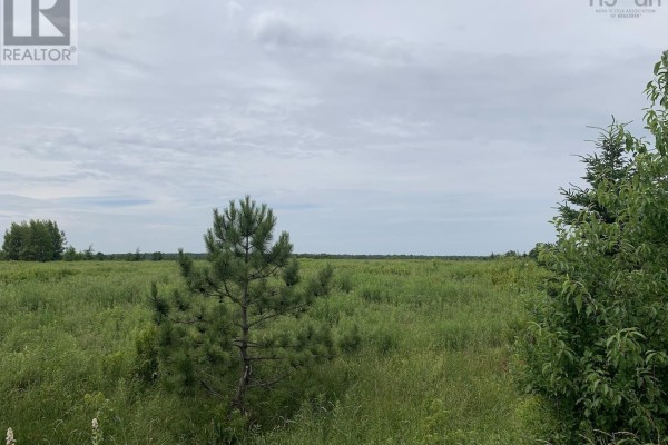 Vv5 Lot 5 Hunter Road, West Wentworth, NS B0M1Z0 Photo 4