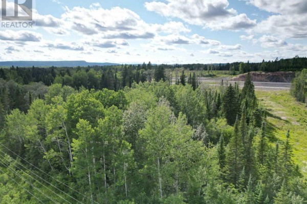 W 1/2 Lt 5 Cantley Drive Hwy 11-17, Red Rock, ON P0T2P0 Photo 4