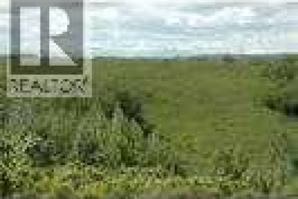 W-5.r-3,t-26,s-22, Q-se,, W-5.r-3,t-26,s-22, Q-sw Lochend Road Nw, Rural Rocky View County, AB T4C2B3 Photo 3