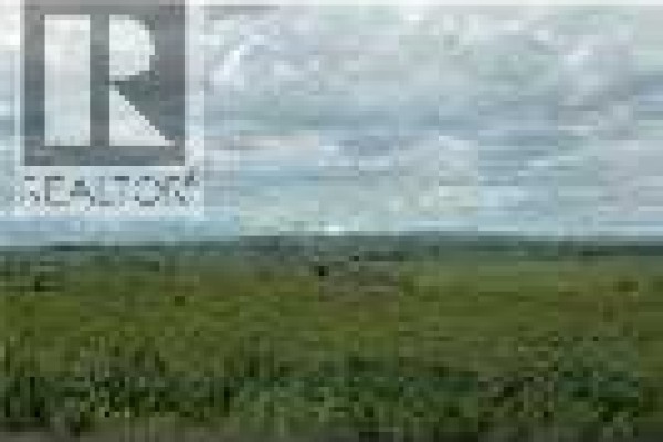 W-5.r-3,t-26,s-22, Q-se,, W-5.r-3,t-26,s-22, Q-sw Lochend Road Nw, Rural Rocky View County, AB T4C2B3 Photo 4