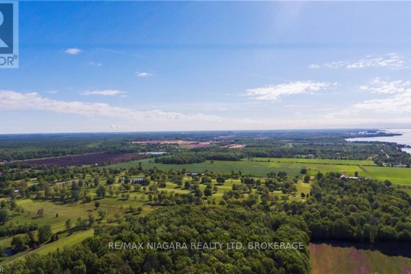 Expansive aerial view of Wainfleet farmland and wooded areas with distant water views. - W/s Moore Road, Wainfleet