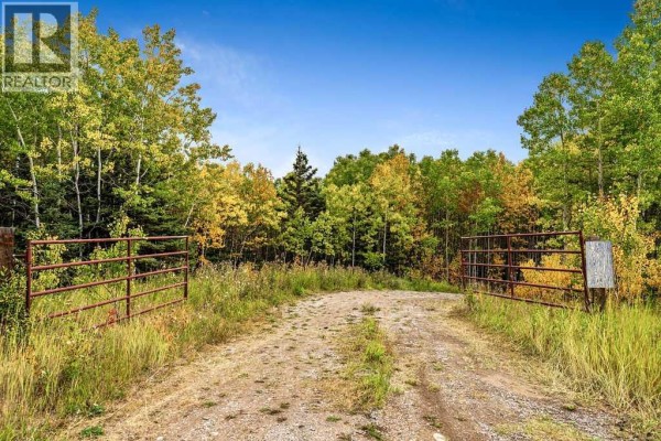 W:5 R:3 T:22 S:29 Q:nw Drive, Rural Foothills County, AB, photo 3