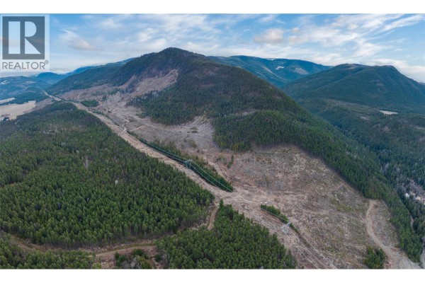 Overhead view of a large forested area with a cleared section and power transmission lines running through. - Walkem Road, Cherryville