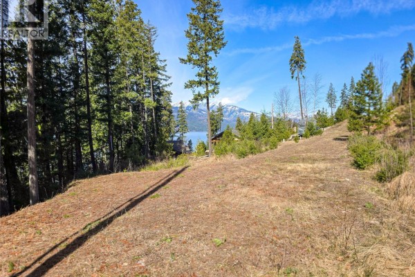 Lot 4 Walkers Lane, Kootenay Bay, BC V0B1E0 Photo 2
