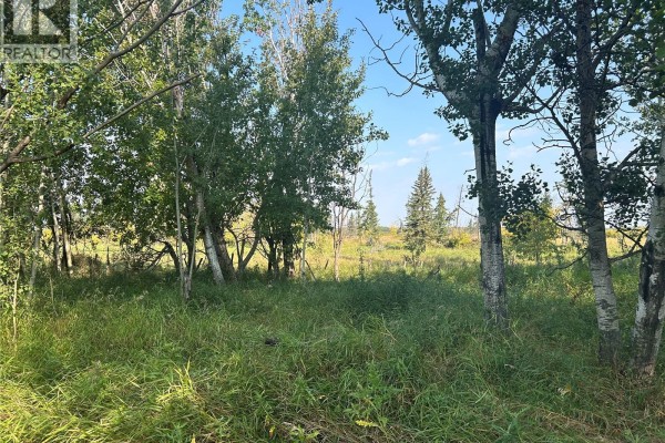Weaver, Barrier Valley Rm No 397, SK S0E0B0 Photo 3