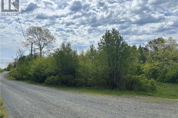Wellington Drive, Grand Manan, NB E5G1M8 Photo 5