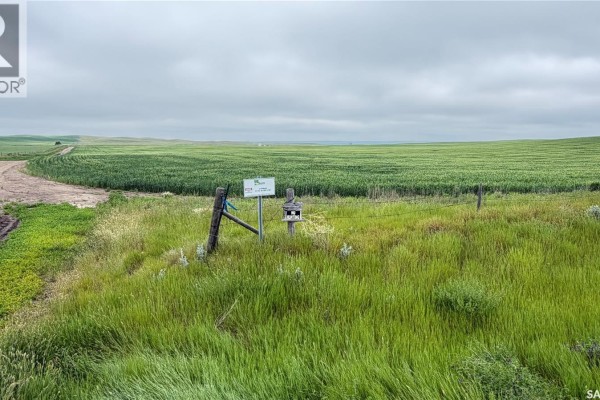 Wenzel 4 Quarters, Cypress Lake, SK S0N0P0 Photo 2