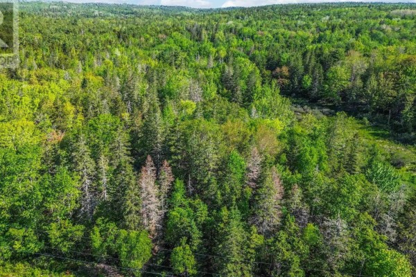 West Dalhousie Road, Lake La Rose, NS B0S1A0 Photo 2