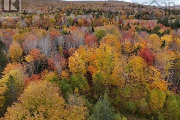 West Middle River Road, West Middle River, NS B0E1B0 Photo 3