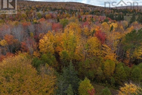 West Middle River Road, West Middle River, NS B0E1B0 Photo 4