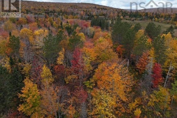 West Middle River Road, West Middle River, NS B0E1B0 Photo 5