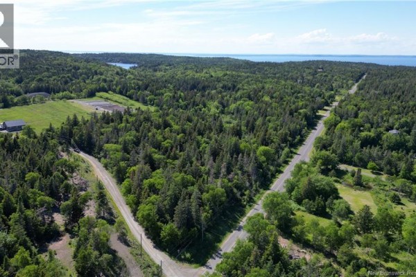 Whistle Road, Grand Manan, NB, photo 2