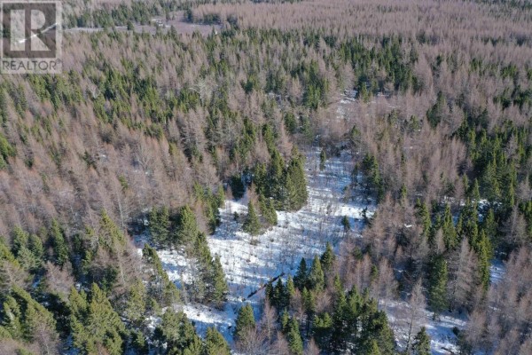 Aerial view showcasing a mix of tree types in a snowy landscape. - Whycocomagh-port Hood Road, Southwest Mabou
