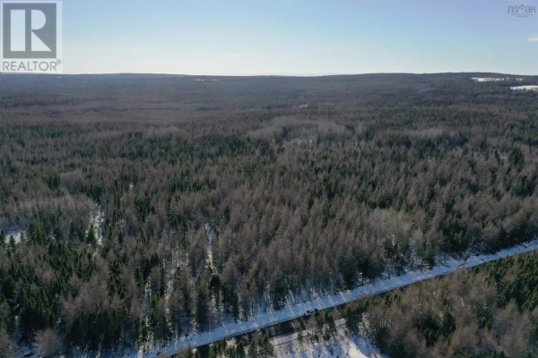 Aerial perspective of wooded area with snow and varied tree density. - Whycocomagh-port Hood Road, Southwest Mabou