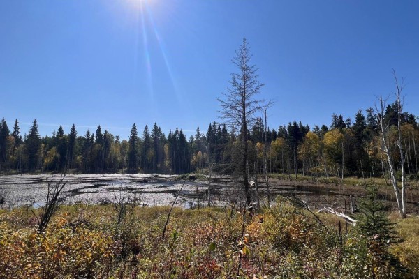 Wildlife Acres, Mervin Rm No 499, SK, photo 2