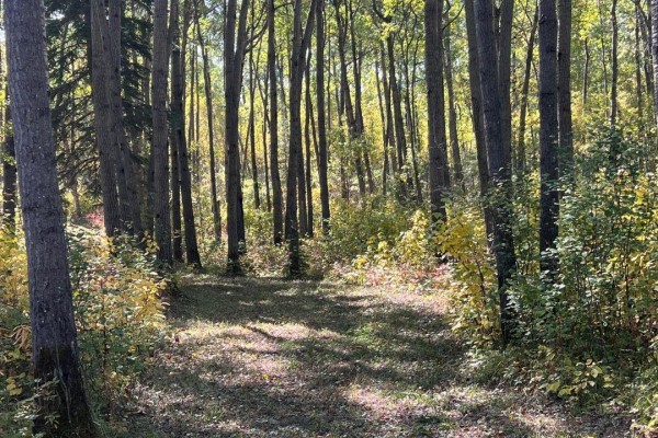 Wildlife Acres, Mervin Rm No 499, SK, photo 3
