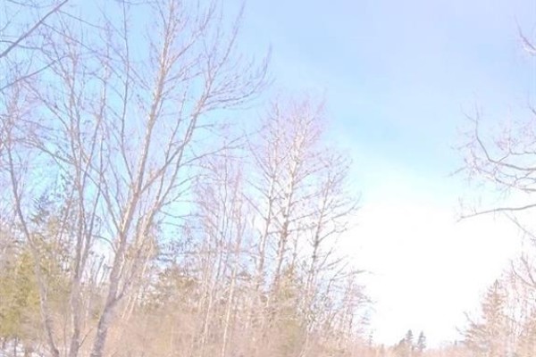 Woodlots Gallant Settlement Cross Road, Cormier Village, NB E4P7M7 Photo 3